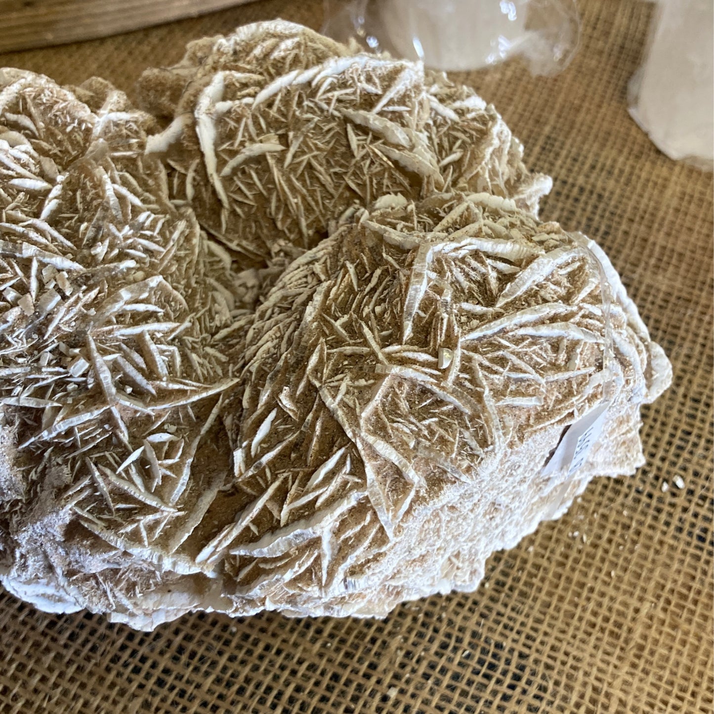 Large Desert Rose Selenite