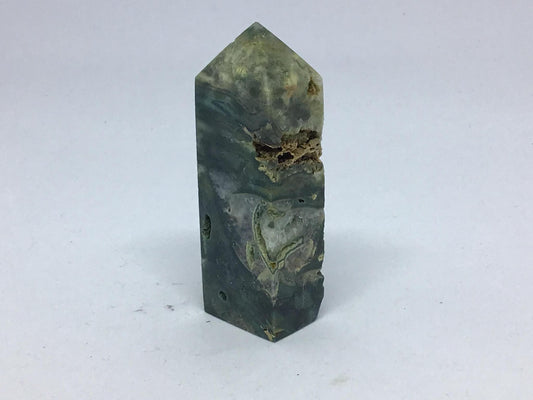 Fish Eye Ocean Jasper Tower